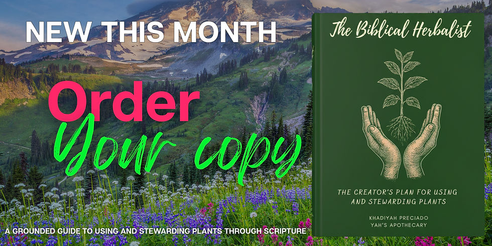 Website Banner Promotional (16).jpg