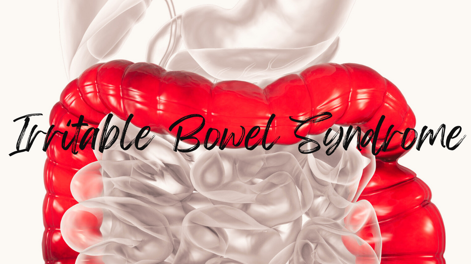 Managing IBS (Irritable Bowel Syndrome) Herbal Protocol