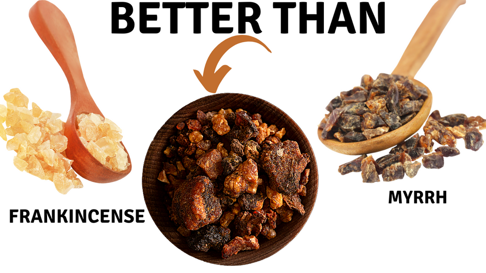 Frankincense, Myrrh, and Oppopanax: The Ancient Resins Every Healer Should Know