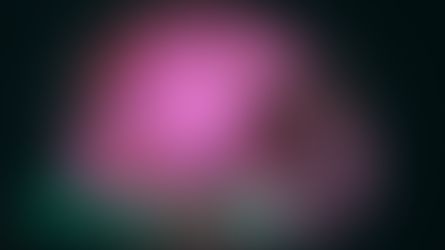 Herbs for Stomach “Bug” Infection