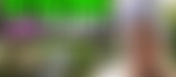 How to Get Your Kids to Love Eating Plants!