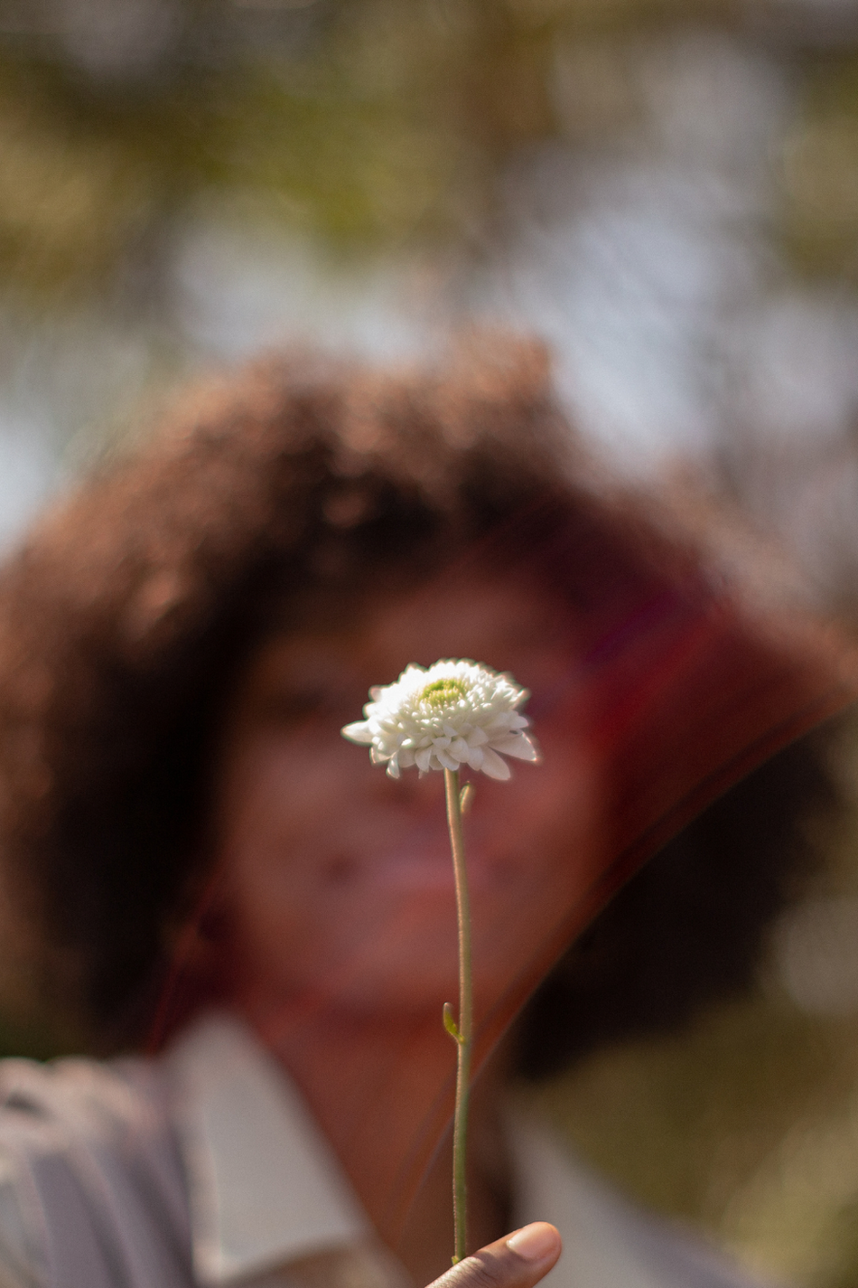 The Future of Herbalism: Why Safety Will Separate Professionals From Hobbyists