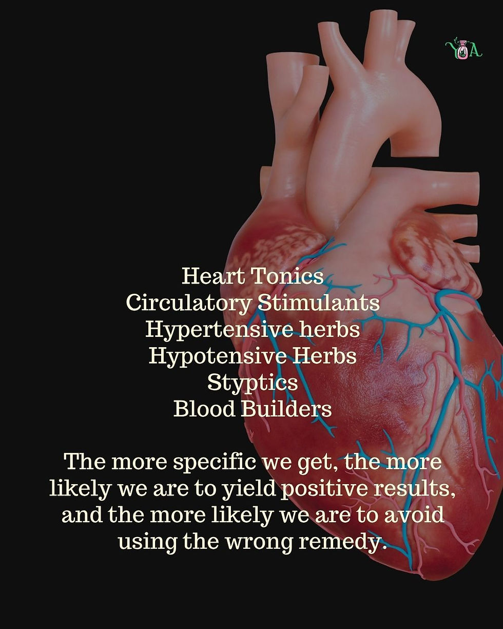 Thumbnail: Holistic Healer Class Bundle