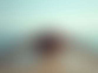 Effektive Core-Training-Strategien auf Mallorca: Core Training für Stabilität