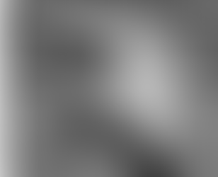 Honoring the Legacy of Dr. Martin Luther King, Jr.