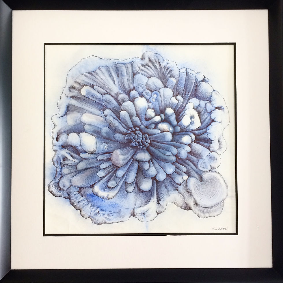 Sea Flower, 2017