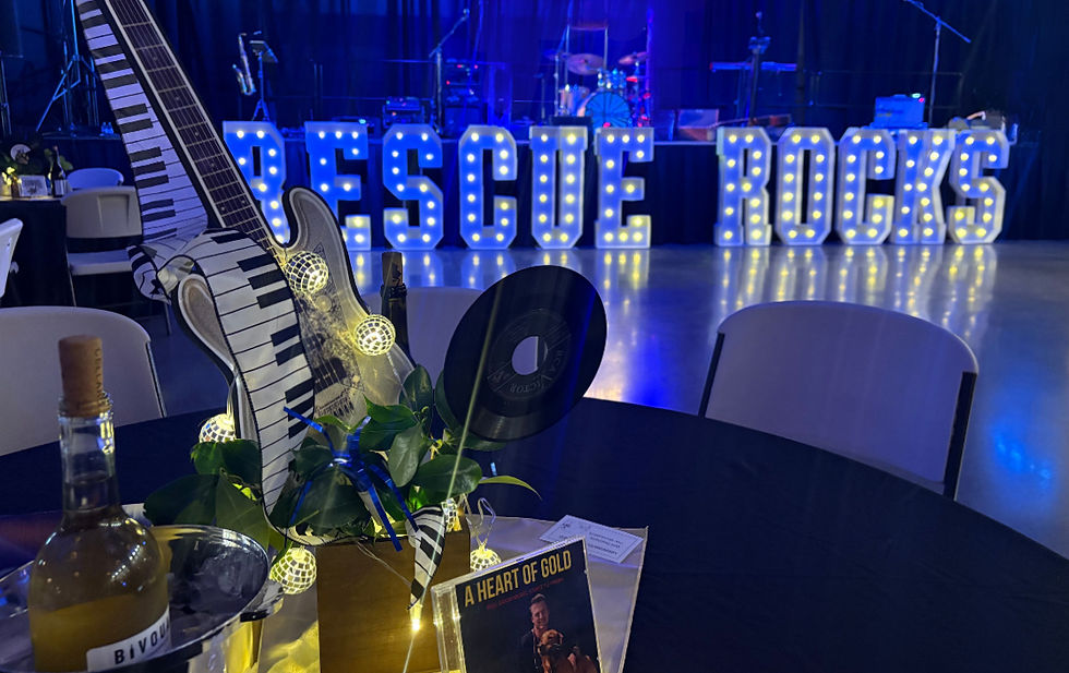 Rescue Rocks benefit to support animal welfare across Eastern Washington