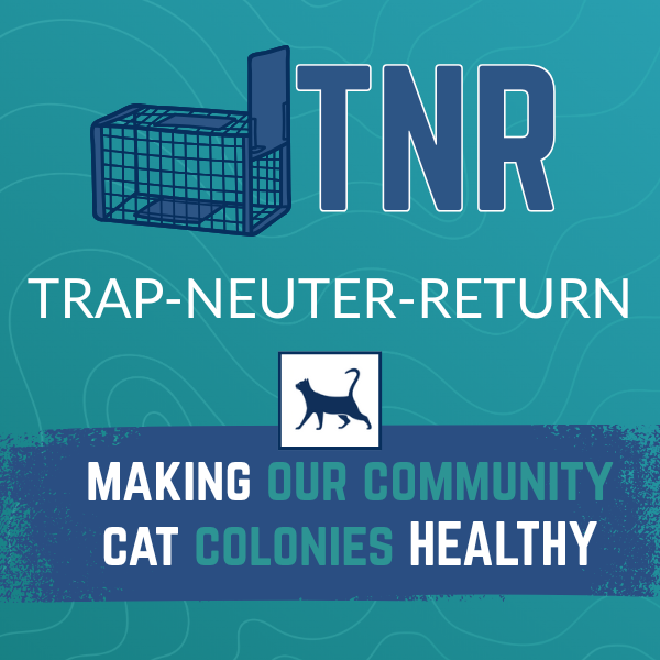 WEB EVENT LOGOS-3.png