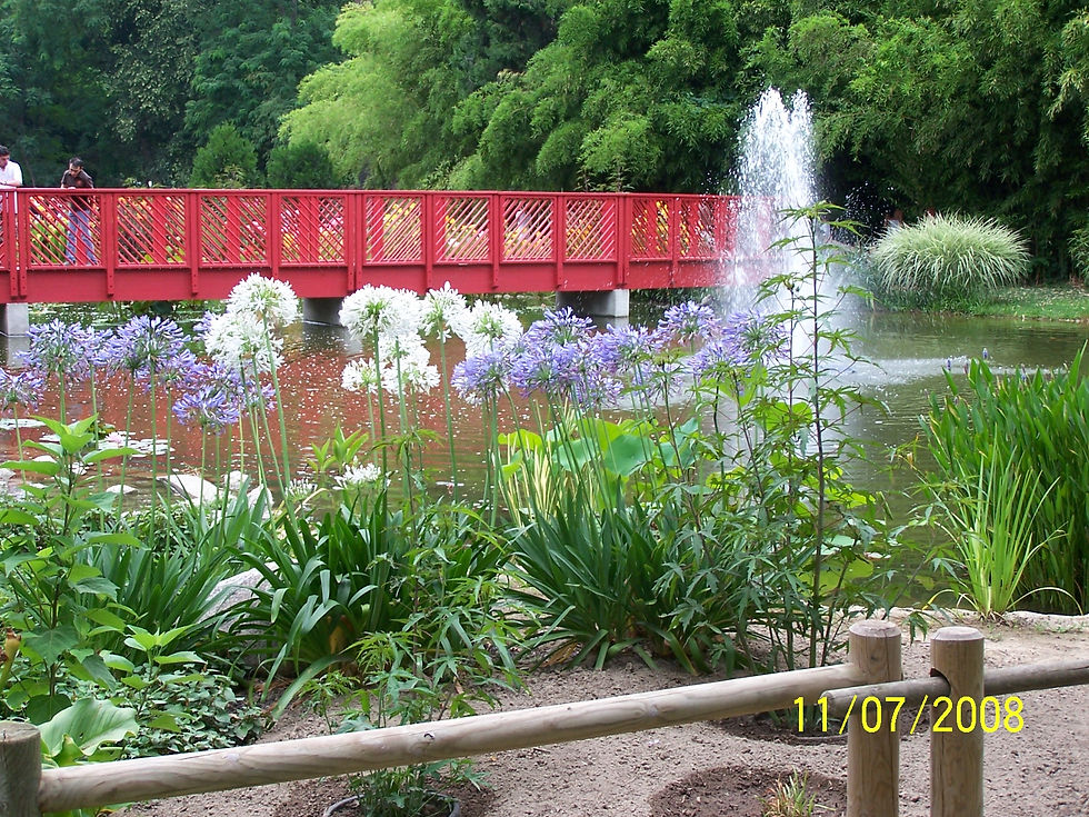 Jardin des Plantes