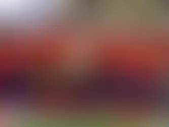 España Destruye las Esperanzas de Inglaterra y Gana la Eurocopa 2024