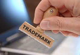Understanding the Trademark Search Process in India: Key Factors to Consider