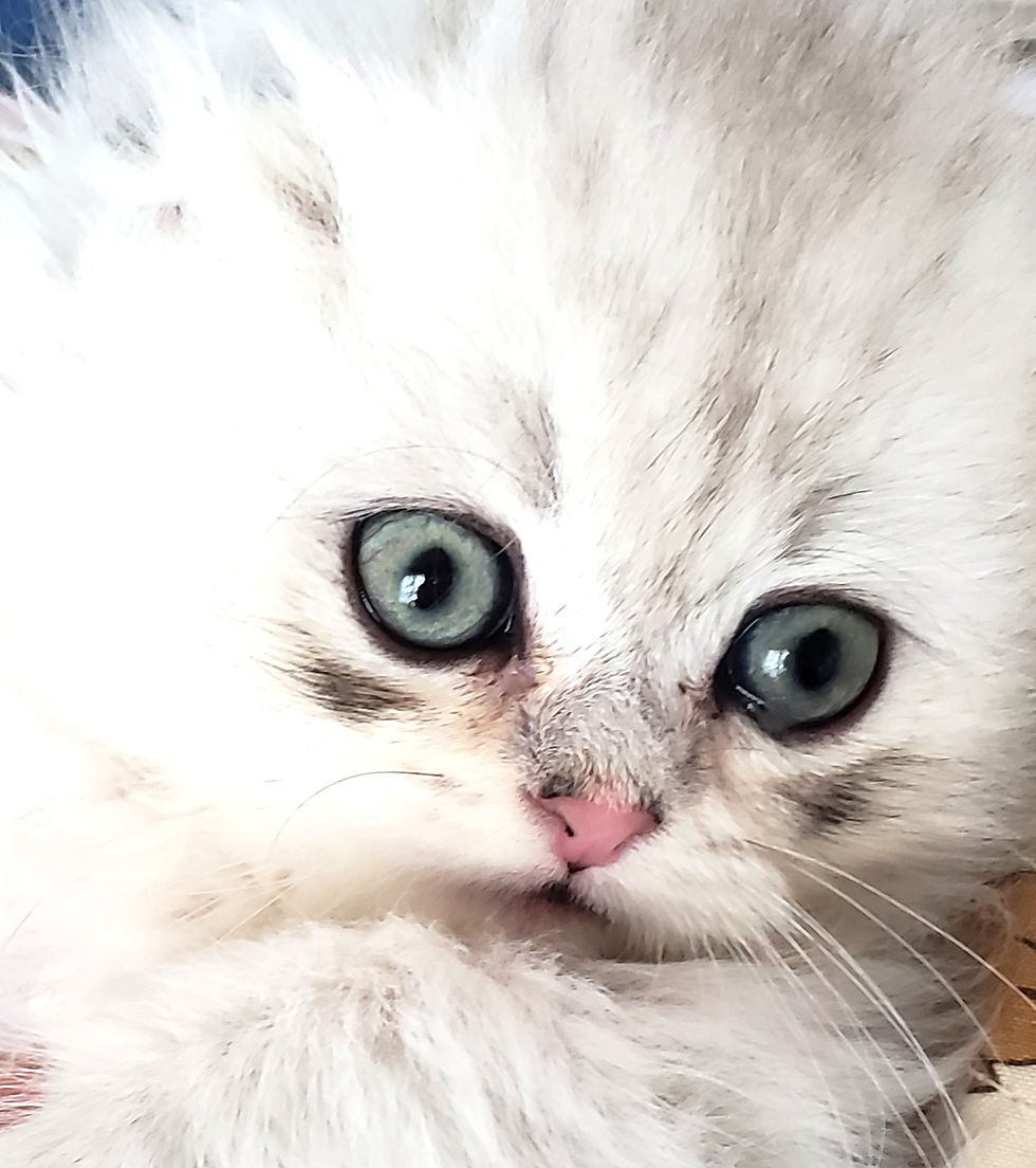 20190722_170226_edited.jpg