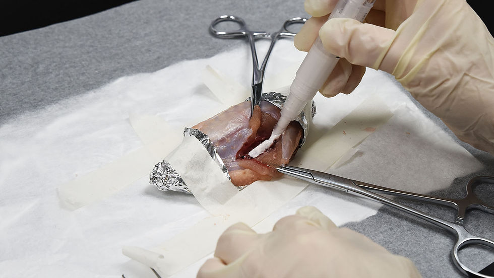 Apply VetHesive directly to fracture site for fixation