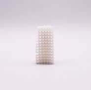 Bone scaffold for bone tissue engineering printed in OSSFILA Bonlecule Bioactive Filament with Intamsys Funmat Pro 410