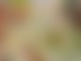 Glimpsing Bilbo's heart through his map of favorite walks