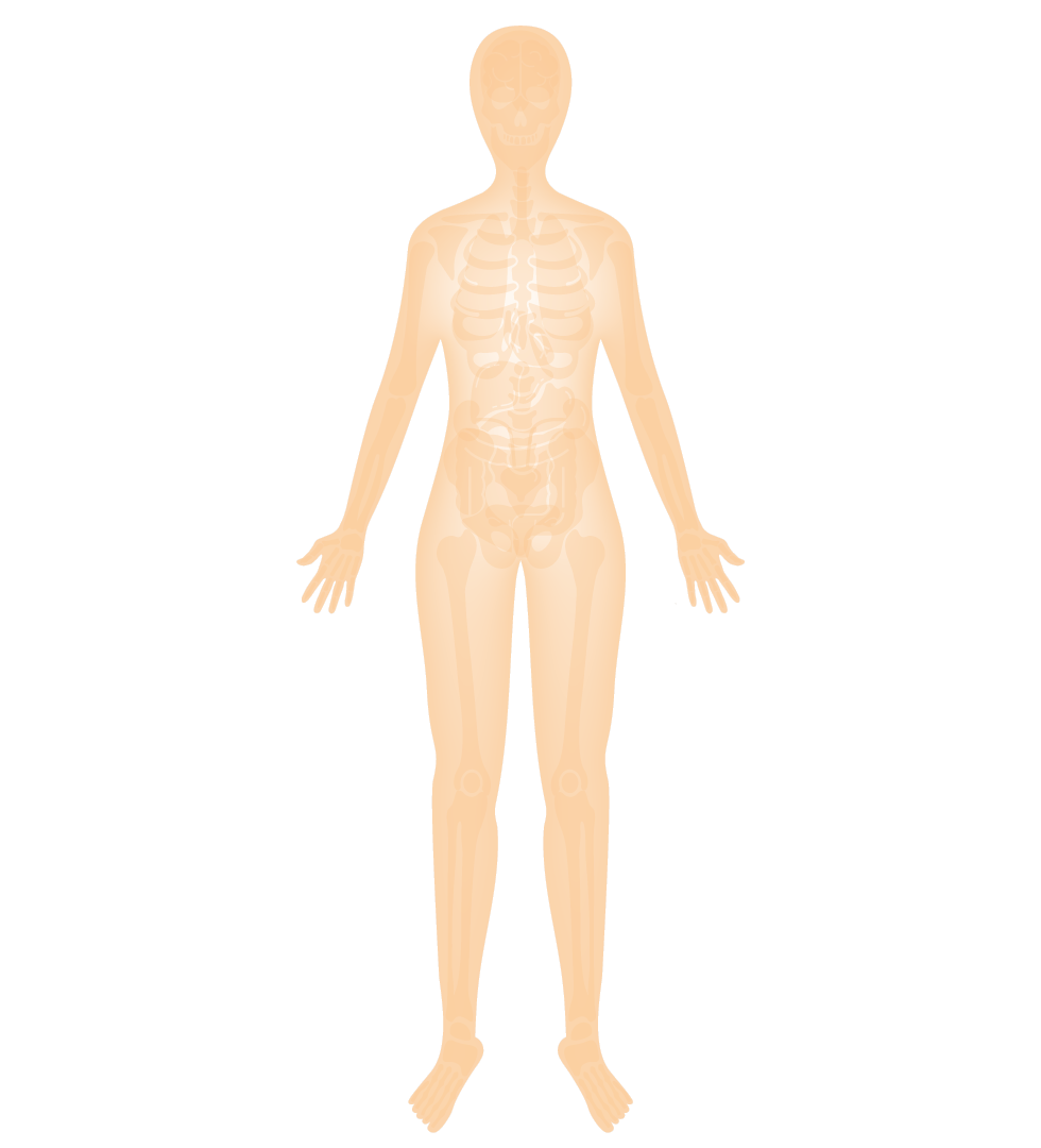 Silhouette di un corpo umano a ragggi x
