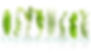 iStock-615494758.jpg
