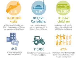 Understanding Poverty in Canada: Insights from the 2024 Report and Connections to Our Local Food Prosperity Efforts