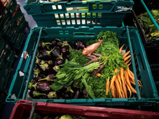 Malcolm in the Middle of a Movement: Food Abundance Finally Gets Its Day in the Sun