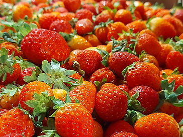 strawberries from food rescue