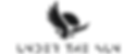 13.png
