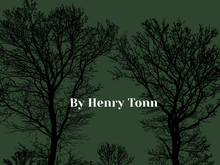 Death in the Bayou by Henry Tonn