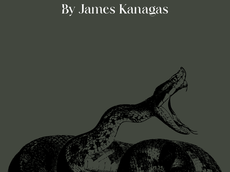 Boy Fetching Firewood by James Kangas