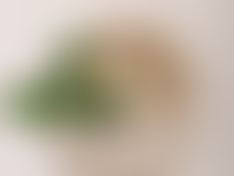 10 Must-Try Macramé Patterns for Beginners