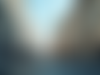 EXPANDING INTO POLISH MARKET TAKES MORE THAN A LAUNCH