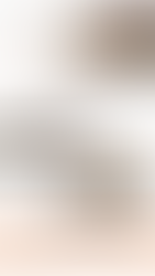 Aurelia Build – Building Company Website Mockup & Brand Book Case Study