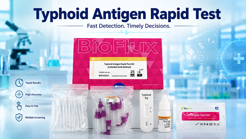 Typhoid Antigen Rapid Test