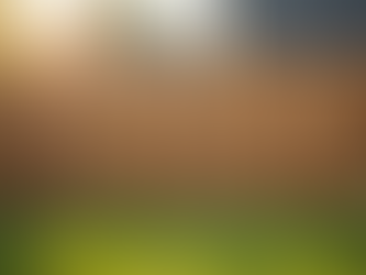 Understanding Customer Reviews for Fences: A Closer Look at Ridgewood Fence