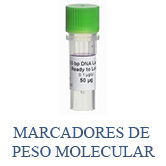 Marcadores de peso molecular