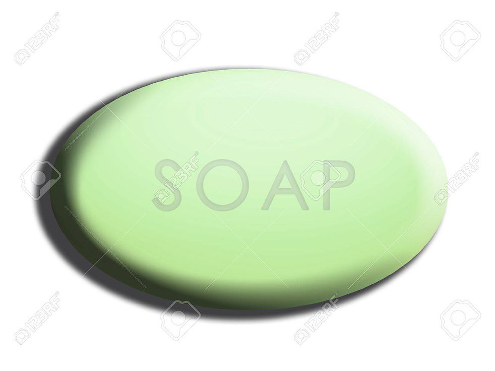 Thumbnail: BASIL SAGE & CITRUS BAR OR BLOCK/BRICK & 1/2