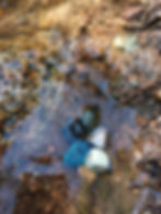 20211004_134609.jpg