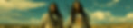 delfinobackground_edited.jpg