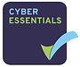 Cyber%20essentials_edited.jpg