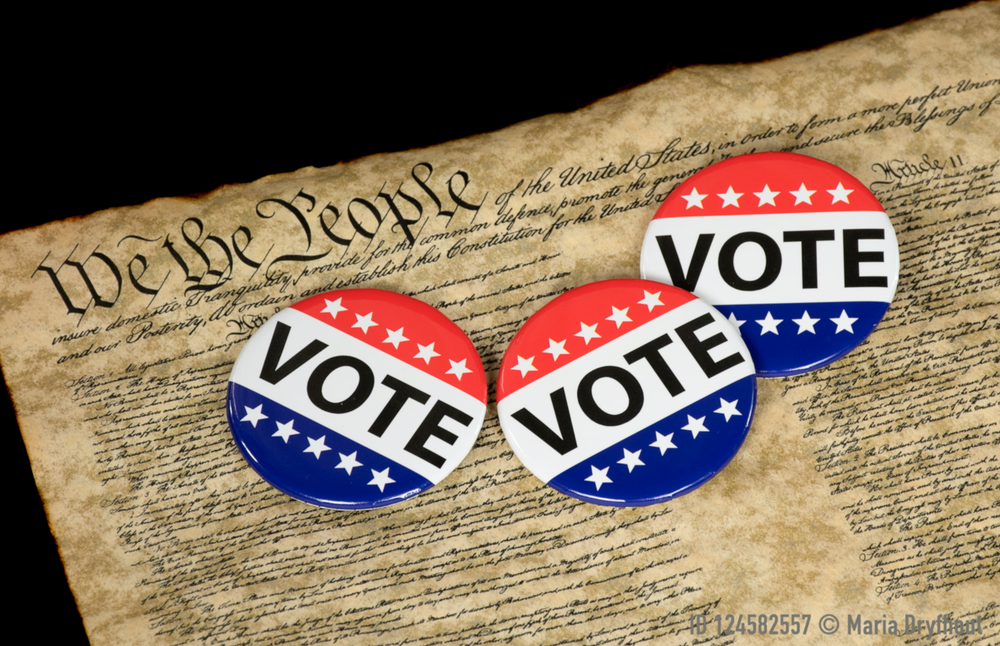 Blog Why Local Elections Are Important