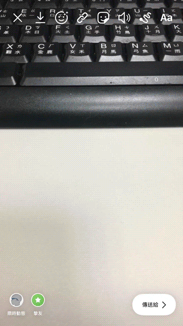 flamingo_gif_IG_001.gif