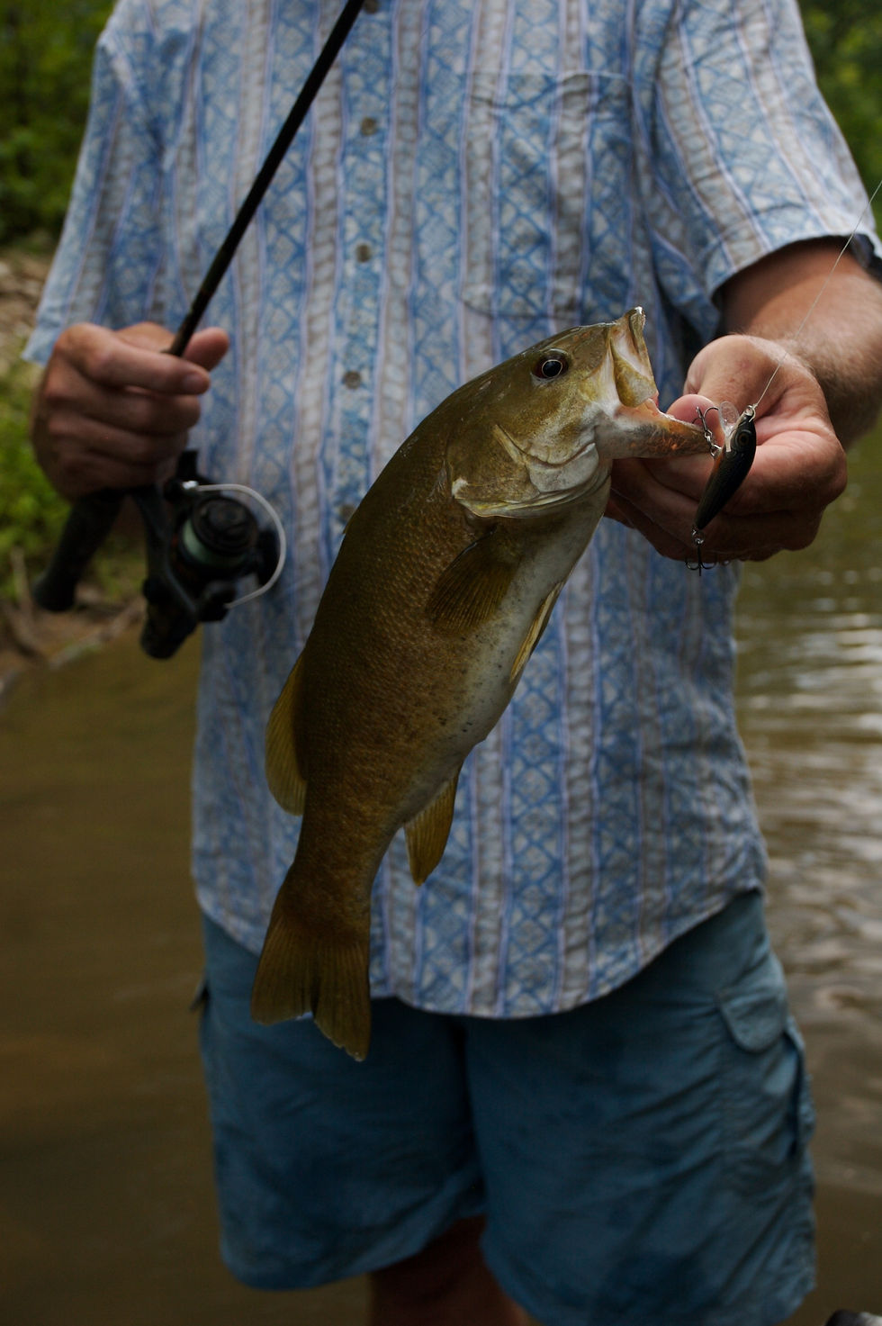 wildlife bass on hook.jpg