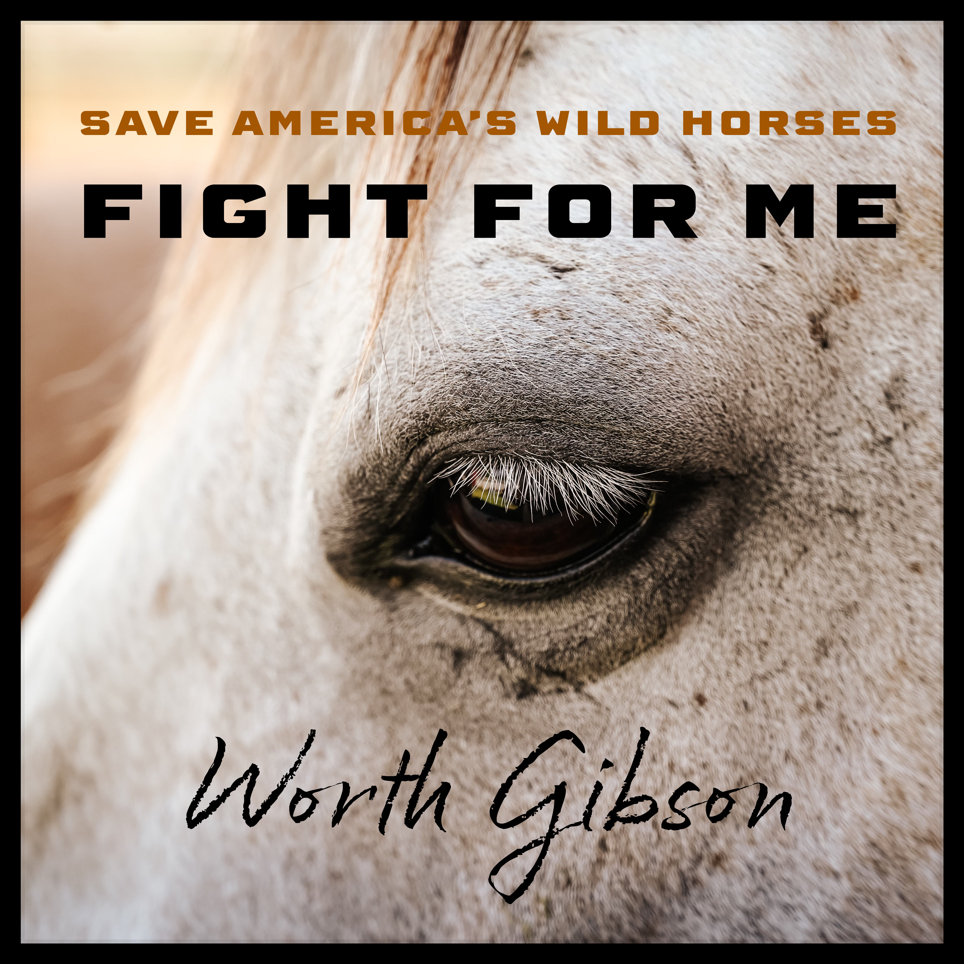 FIGHT FOR ME - WEBSITE ART.JPEG