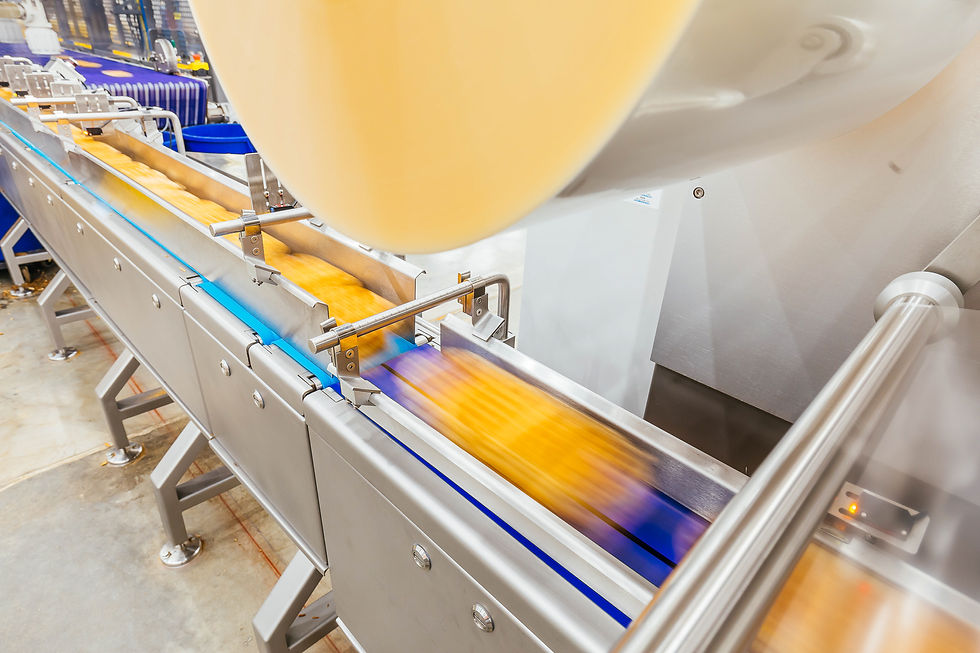 Smart Infeed Machine Garnet Smart Infeed | Aes-Atlas | Case Wrapper Infeed