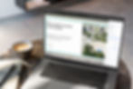 Website Design Northwest Arkansas