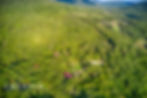 Jasper Arkansas Real Estate Agents
