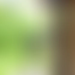 Tax Update: October 2023