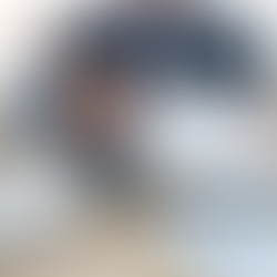 Quarterly Newsletter: December 2020