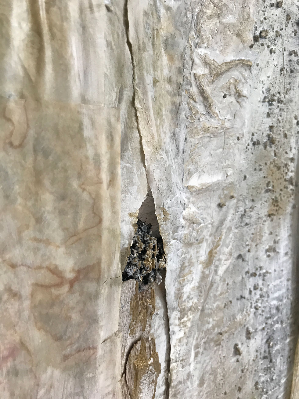 Miniaturbild: Knochenmensch - Im Kraftfeld der Organe