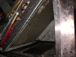 dirty condenser coil true.jpg
