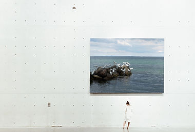 Art Exhibition_edited.jpg