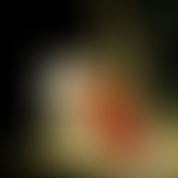 Hellig sky 22.februar - Carl Bloch